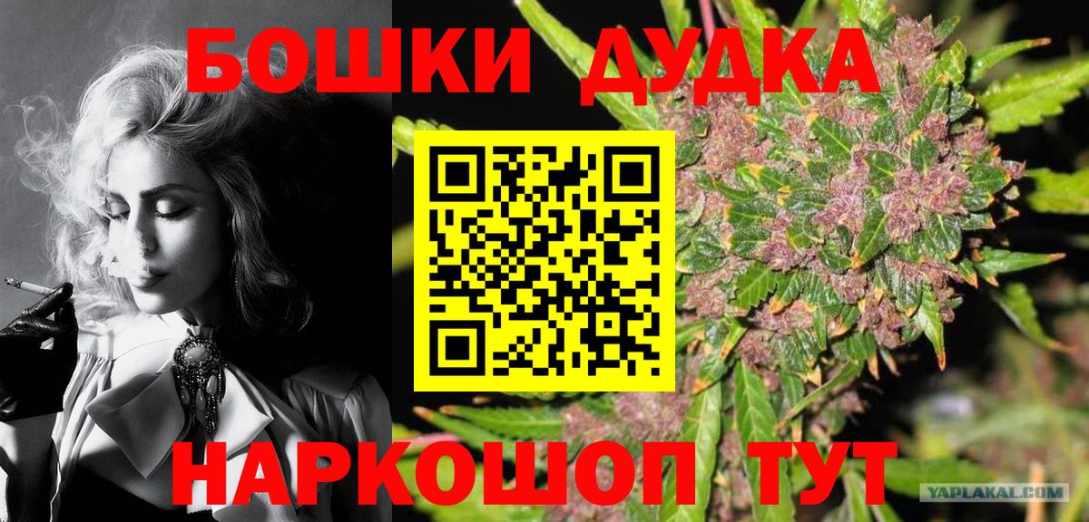 Конопля сатива Майкоп